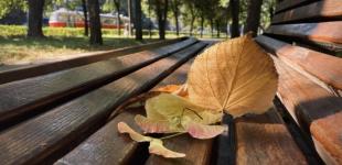 У перші вихідні листопада в Україні потеплішає, вдень до +17°