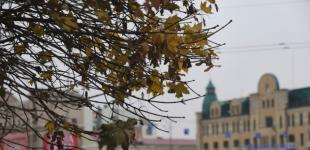 Україні у п'ятницю прогнозують +12°, переважно без опадів