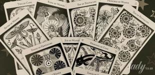 Таро на 15–21 грудня 2025 року: сила волі, гармонія та нові відкриття