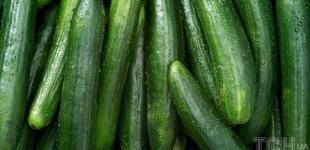 Найвищі ціни за останні 8 років: в Україні продовжує дорожчати популярний овоч