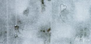 Любовний гороскоп на тиждень: яким знакам зодіаку пощастить від 29 грудня до 4 січня