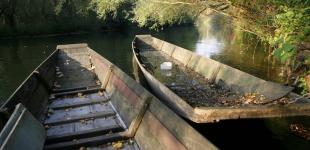 Гороскоп на 19 листопада для всіх знаків зодіаку: день, коли наша психіка буде беззахисною й ослабленою