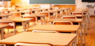Трагедія в київській школі: у Раді обговорюють встановлення пропускних рамок