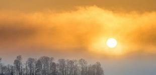 День зимового сонцестояння 2025 року: коли буде найдовша ніч року, чим вона особлива