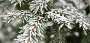 Коли в Україні очікувати справжньої зими: прогноз синоптика