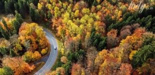 Що зірки нам пророкують: гороскоп на 24–30 листопада 2025 року