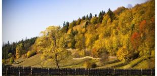 Ідеальний осінній день: якою буде погода 30 жовтня в Україні