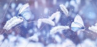 Гороскоп на 16 грудня для всіх знаків зодіаку: день, коли стосунки між людьми пройдуть випробування на міцність