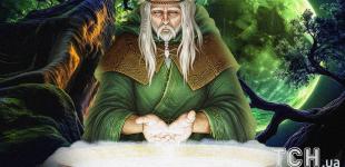 Рослинний гороскоп друїдів на 6 грудня: Терезам — легкість, Ракам — тепло