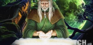 Рослинний гороскоп друїдів на 13 листопада: Терезам — рівновага, Овнам — рішучість