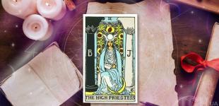 Гороскоп на картах Таро на 2–8 лютого 2026 року: грошовий шанс для Тельців і доленосне рішення для Скорпіонів