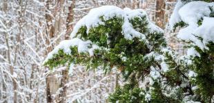 Прогноз погоди на 13 жовтня: синоптики сказали, де вдарить мороз і буде мокрий сніг
