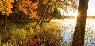 Гороскоп на 29 жовтня для всіх знаків зодіаку: день, коли потрібно бути обережними