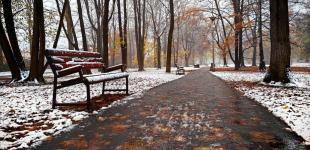 Коли в Україні чекати на перший сніг: метеорологиня здивувала прогнозом