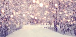 Гороскоп на 14 грудня для всіх знаків зодіаку: день, коли у світі пануватиме гармонія