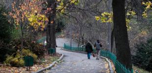 Нетипово теплий кінець осені: якою буде погода в Україні 26 листопада