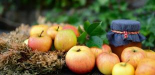 Ідеальний осінній десерт: рецепт яблучного пляцка, що підкорить з першого шматочка