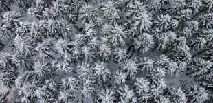 Україну завалить снігом і накриє лютими морозами: синоптик назвав дати