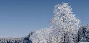 Погода на 23 січня в Україні: синоптикиня здивувала прогнозом