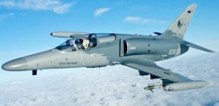 Які винищувачі Україна може отримати від Чехії: пояснення експертів