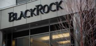 BlackRock зупинив підготовку фонду для відновлення України: Bloomberg дізналося причину