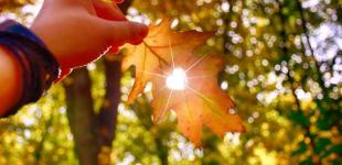 Вже близько: синоптик уточнила, коли в Україну прийде потепління