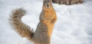 Синоптики попереджають про небезпечні погодні сюрпризи: якою буде зима в Україні