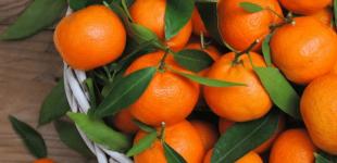 Скільки мандаринів можна їсти на день