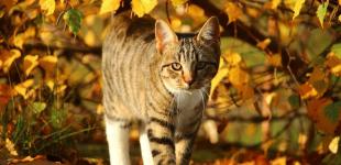 Синоптик потішив прогнозом і повідомив, коли врешті потеплішає