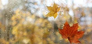 Погода у вихідні 15–16 листопада: де потеплішає, а де знову пройдуть дощі