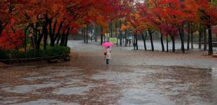 Прогноз погоди на 11 листопада: де очікуються дощі й зниження температури