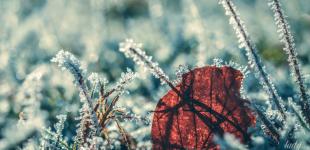 Гороскоп на 18 листопада для всіх знаків зодіаку: день, коли зло буде під забороною