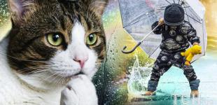 Погода в Україні готує 