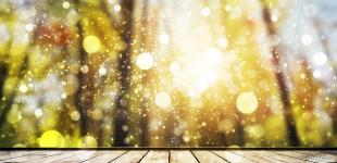 Гороскоп на 23 листопада для всіх знаків зодіаку: день, коли потрібно буде вибрати між силами добра і зла