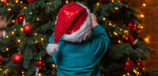 Які іграшки краще не вішати на ялинку 2026 року: вони не сподобаються Коневі