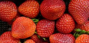 Топ 10 продуктів, які уповільнюють старіння