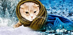 До України йдуть морози до -24 та нижче: коли буде пік похолодання — синоптикиня