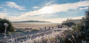 Гороскоп на 29 листопада для всіх знаків зодіаку: день, коли потрібно робити те, що приносить задоволення