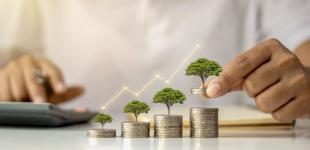 Облігації чи земля: вибираємо, куди краще вкласти гроші