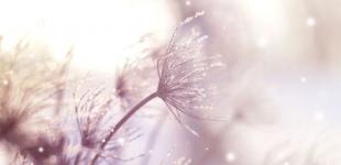 Гороскоп на 14 січня для всіх знаків зодіаку: день, який потрібно провести в тиші та спокої