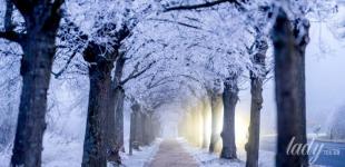 Що зірки нам пророкують: гороскоп на лютий 2026 року