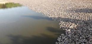 В Запорожской области высохла река: названы причины