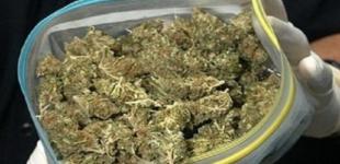 Продавали марихуану: в Запорожской области разоблачили пару наркодилеров