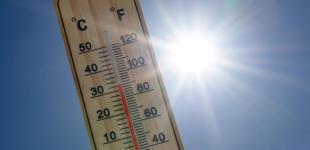Спекотний серпень: синоптики дали прогноз на останній місяць літа