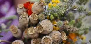 В ближайшие дни в Украине будет сухо и прохладно