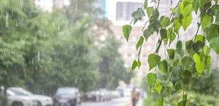 Июль начнется с кратковременных дождей и жары