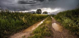 Грозы, ливни и град. Спасатели предупредили об ухудшении погоды в ряде областей Украины