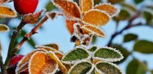 Дощі та морози. До України наближається нове похолодання: синоптики назвали дату