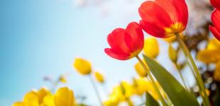 В последний день апреля Украину прогреет до +25°