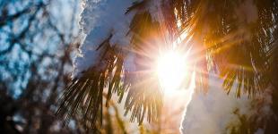 В Украину идет потепление